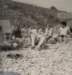 budleighbeach19762_small.jpg